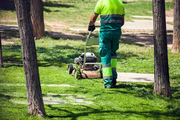 Garden Services